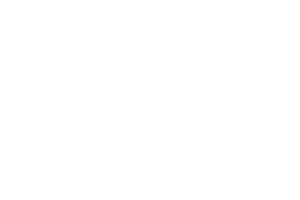 Heinz Logo