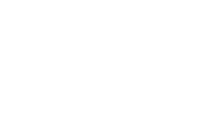 Koch Logo White